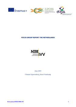 focus group report the netherlands