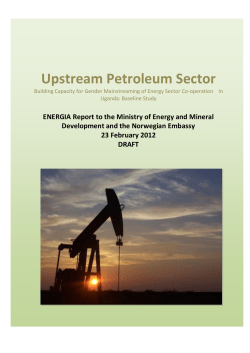 Upstream petroleum sector