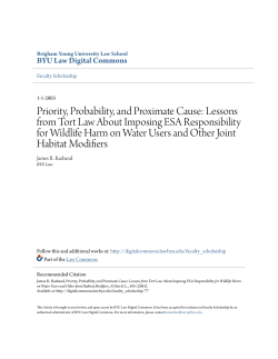 Priority, Probability, and Proximate Cause