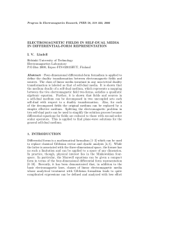 ELECTROMAGNETIC FIELDS IN SELF