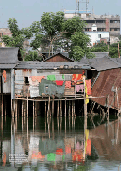 Adaptation Performance Review