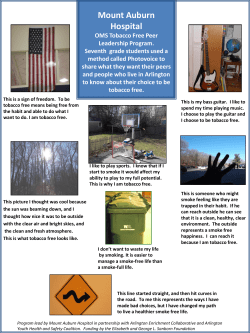 Download/View Attachment