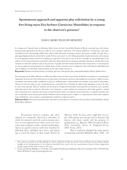 Spontaneous approach and apparent play solicitation by a