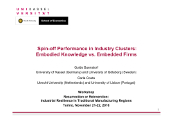 Spin-off Performance in Industry Clusters