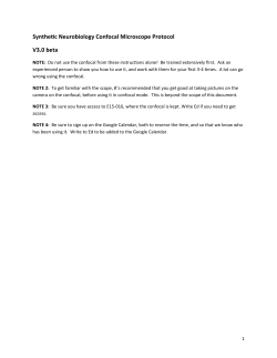 Confocal Microscope Protocol