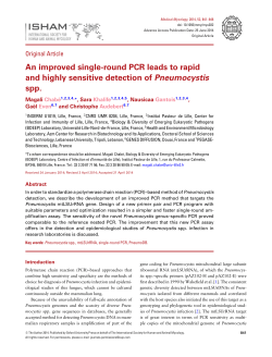 An improved single-round PCR leads to rapid