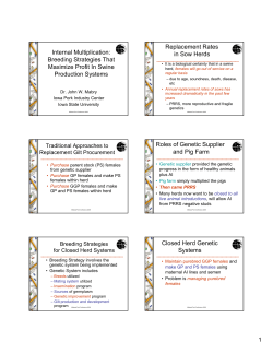 Internal Multiplication: Breeding Strategies That Maximize Profit In