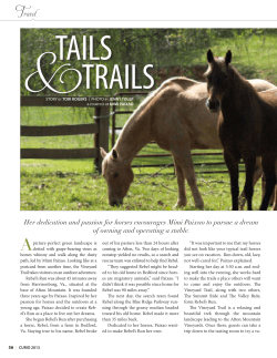 Her dedication and passion for horses encourages Mimi Paixao to