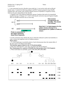 Problem Set 12
