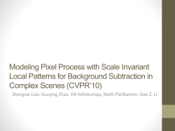 Modeling Pixel Process with Scale Invariant Local Patterns for
