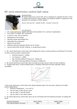 BV serie electronics control ball valve