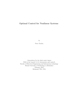 Optimal Control for Nonlinear Systems - FEI STU