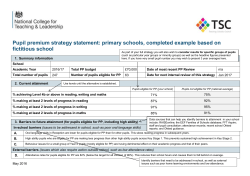 PP-strategy-template-primary