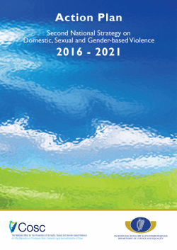 Second National Strategy on Domestic Sexual and Gender