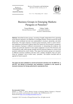 Business Groups in Emerging Markets