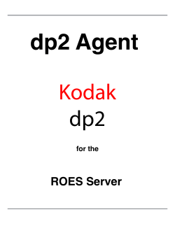 dp2 Agent.pages - ROES