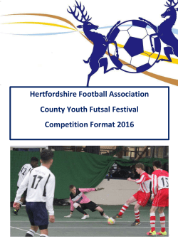 Local Youth Futsal Festival