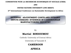 Internal adjustement costs and dynamic inputs demand