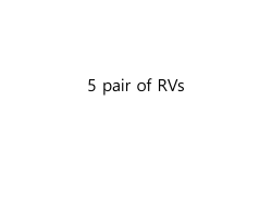 Pair of RVs