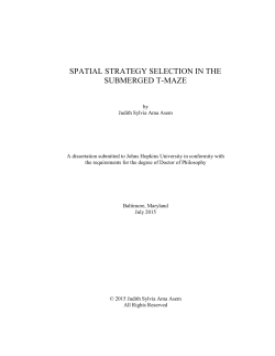 spatial strategy selection in the submerged t-maze