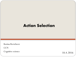 Action Selection
