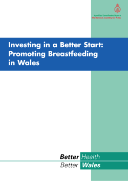 Investing in a Better Start: Promoting