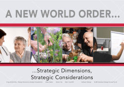 Strategic Dimensions, Strategic Considerations