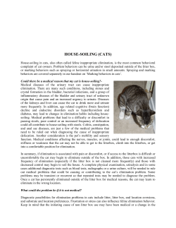 house-soiling (cats) - Animal Hospital of De Pere