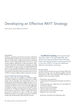 Developing an Effective IM/IT Strategy