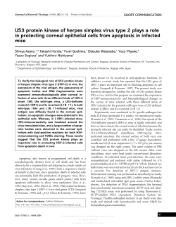 US3 protein kinase of herpes simplex virus type 2 plays a role in