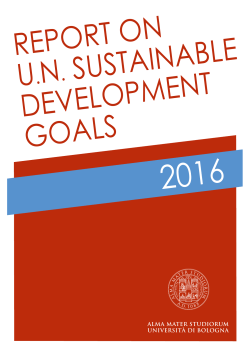 Reporting on United Nations Sustainable Development Goals