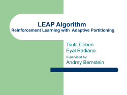 Leap Algorithm Learning Entity Adaptive Partitioning