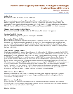 Minutes of the Regularly Scheduled Meeting of the Firelight