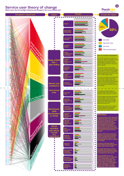 Service user theory of change