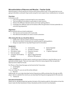 Microstimulation of Neurons and Muscles Teacher