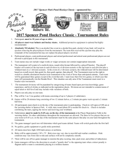 2017 Spencer Pond Hockey Classic - Tournament