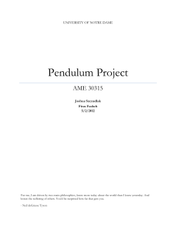 Pendulum Project - University of Notre Dame