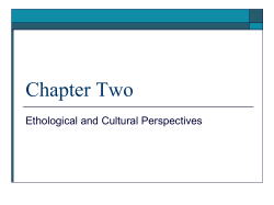 Animal and Human Play