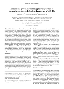 Endothelial growth medium suppresses apoptosis of mesenchymal