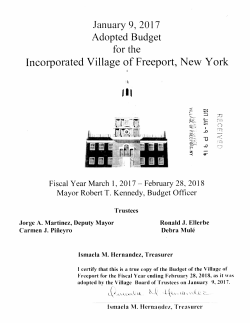 2018 SUM REVENUE Adopted Budget Report