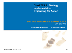 Strategy Implementation: Organizing for Action