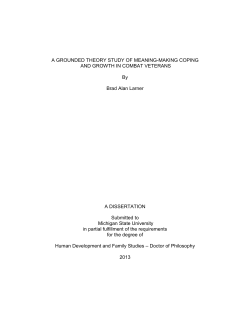 i A GROUNDED THEORY STUDY OF MEANING