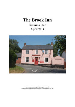 Business Plan - Back The Brook