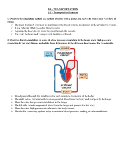 B5.2 Revision notes