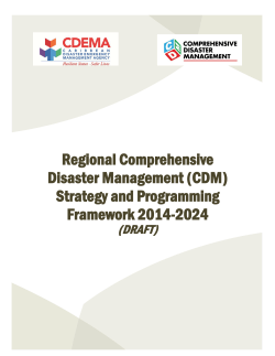 Comprehensive Disaster Management Strategy