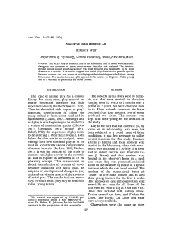 Social Play in the Domestic Cat Department of Psychology, Cornell