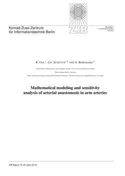 Mathematical modeling and sensitivity analysis of arterial