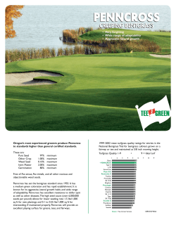 penncross penncross - Tee-2