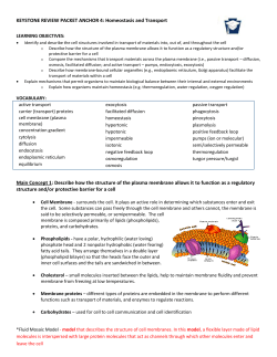 KEYSTONE REVIEW PACKET ANCHOR 4: Homeostasis and