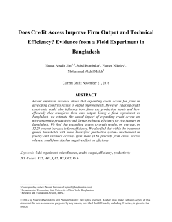 Does Credit Access Improve Firm Output and